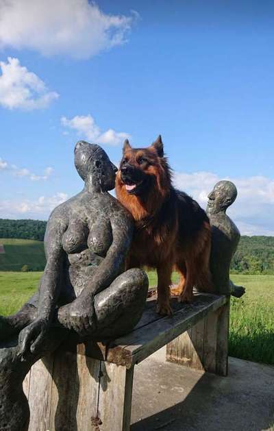 Dein Hund im Dogorama-Kalender 2021-Beitrag-Bild