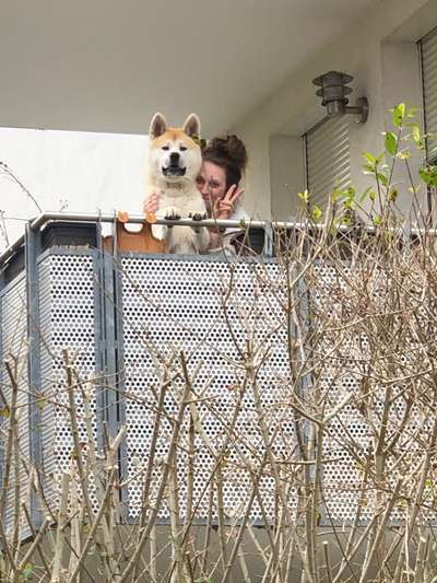 Dogorama Photo Challenge - Selfie Time!-Beitrag-Bild