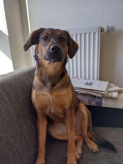 Fotochallange Nr. 57     PORTRÄT.   Beendet!!!!!!!!-Beitrag-Bild