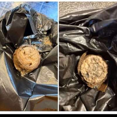 Giftköder-Giftköder auch in Sengenthal gefunden-Bild