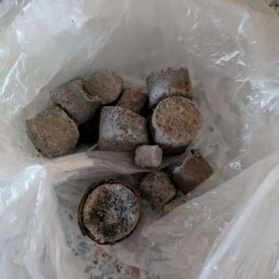 Giftköder-Giftköder-Bild