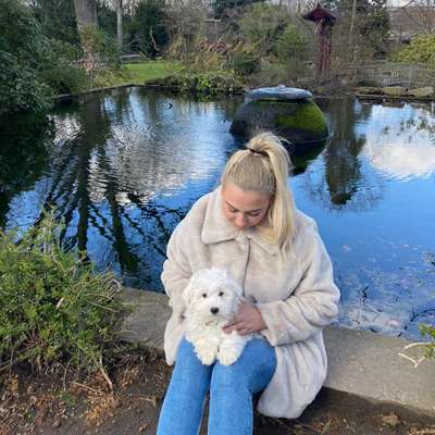 Hundetreffen-KennenlernGassi-Bild