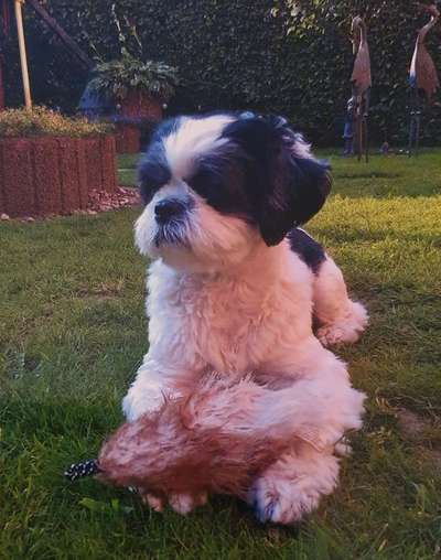 Fotochallange Nr. 57     PORTRÄT.   Beendet!!!!!!!!-Beitrag-Bild