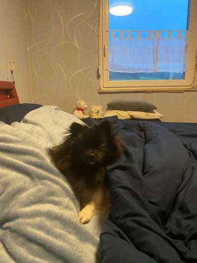 Gemeinsames Kuscheln im Bett!-Beitrag-Bild