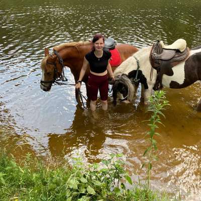 Hundetreffen-Senioren gassirunde in 49809.11 jährige weiße goldi hündin und ich nicht mobil.