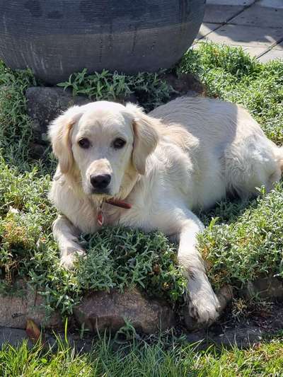 Foto Challenge Nr. 79-Beitrag-Bild