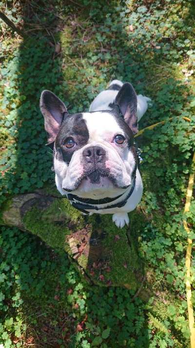 Handy-Foto Challange Nr. 10-Beitrag-Bild