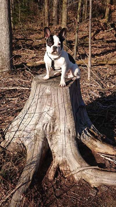 Fotowettbewerb Natur-Beitrag-Bild