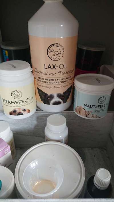 Futterergänzung Fell&Haut-Beitrag-Bild