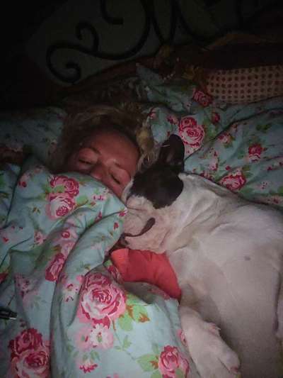 Darf der Hund bei Euch im Bett schlafen?-Beitrag-Bild