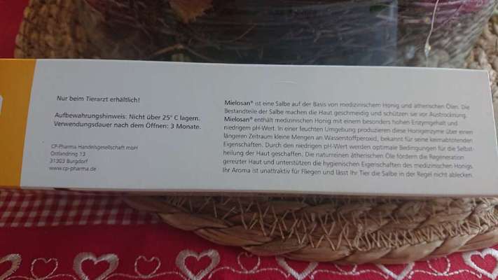 Französische Bulldoggen-Beitrag-Bild