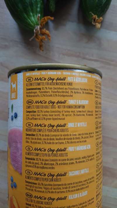 Französische Bulldoggen-Beitrag-Bild