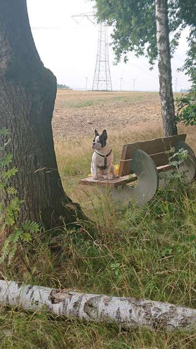 Moviestar-Pics!-Beitrag-Bild