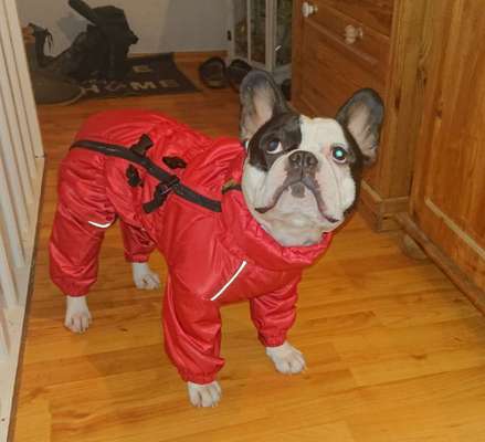 11. Farben Foto Challenge Rot-Beitrag-Bild