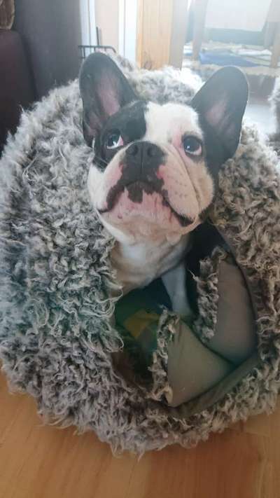 Lieblingsbild-Beitrag-Bild