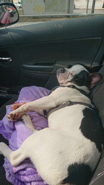 4. Lustiger Schlafplatz-Beitrag-Bild