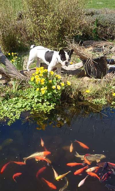 Fotowettbewerb Natur-Beitrag-Bild