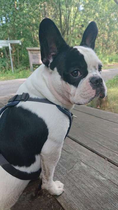 Zeigt eure Portraits-Beitrag-Bild