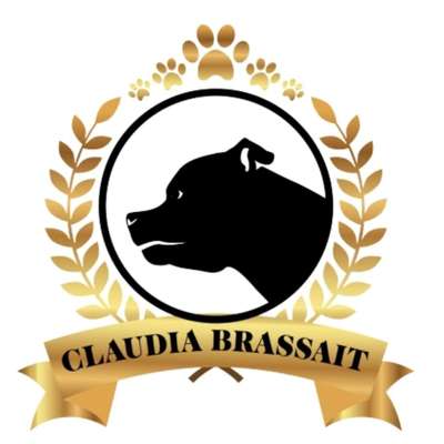 Medizinische Dienstleistungen-Haaranalyse/Quantenanalyse/Frequenztherapie & Hundephysio der neuen Zeit-Bild