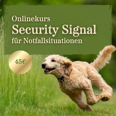 Giftköder-Security Signal für Notfallsituationen-Bild