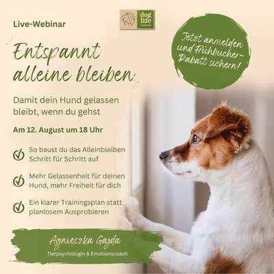 Giftköder-Live-Webinar "Entspannt alleine bleiben"-Bild