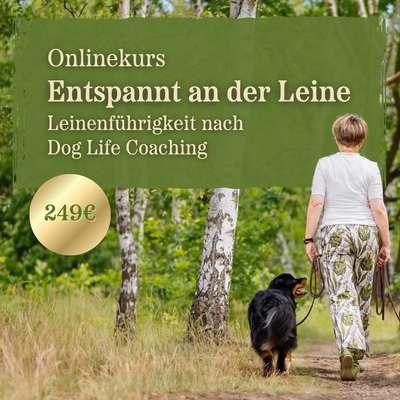 %{de_profession_title}-Onlinekurs "Entspannt an der Leine"-Bild
