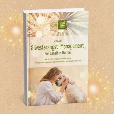 Giftköder-eBook "Silvesterangst-Management"-Bild