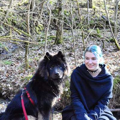 Hundetreffen-Spazierengehen & spielen-Profilbild