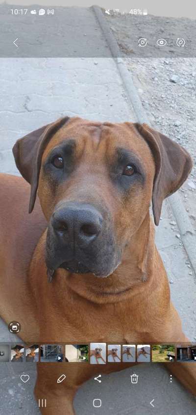 150. Foto Challaenge:  Die Augen, der Spiegel der Seele-Beitrag-Bild