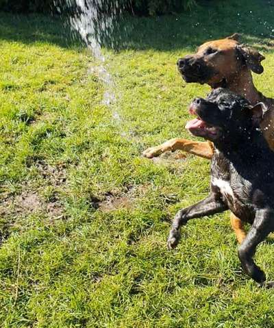 FOTO CHALLENGE Thema ,,durchdrehen"-Beitrag-Bild