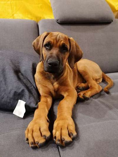 Fotochallange Nummer 5-Beitrag-Bild