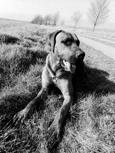 Foto-Challenge 76: Foto in Schwarz-Weiss-Beitrag-Bild