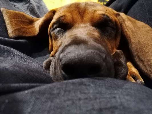 Foto Challange Nr.80-Beitrag-Bild