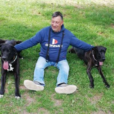 Hundetreffen-Suche Wiesen  oder freizeitgrunstück zum mitten fürs Hunde auslauf-Profilbild