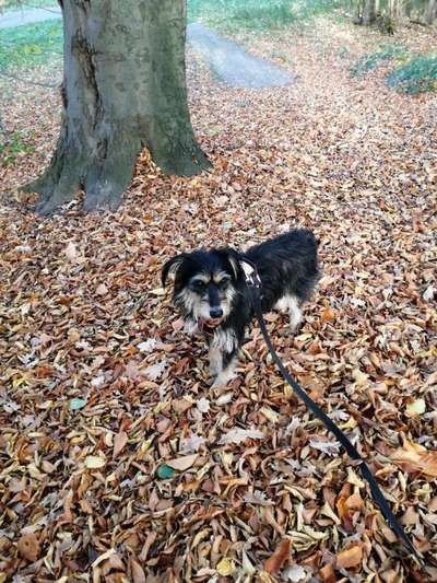 Herbst Bilder-Beitrag-Bild