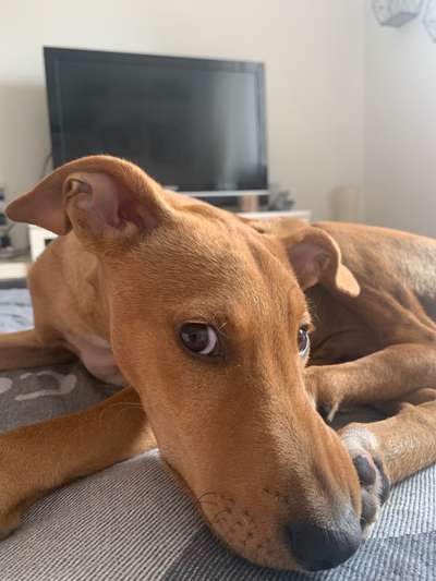 147. Foto Challenge: Bettelblick-Beitrag-Bild