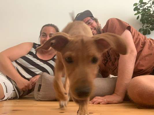 154. FotoChallenge * AUFS BILD GEMOGELT *-Beitrag-Bild