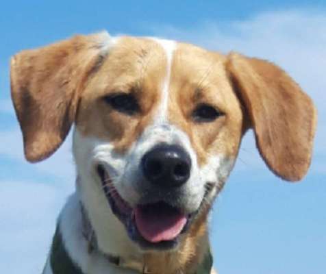 Fotochallange Nr. 57     PORTRÄT.   Beendet!!!!!!!!-Beitrag-Bild