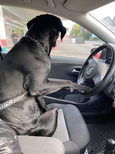 Dogorama Photo Challenge - Fail/Outtakes-Beitrag-Bild