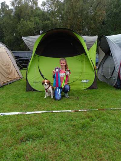 Kooikerhondje-Beitrag-Bild