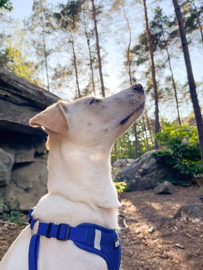 FOTOCHALLENGE 86-Beitrag-Bild