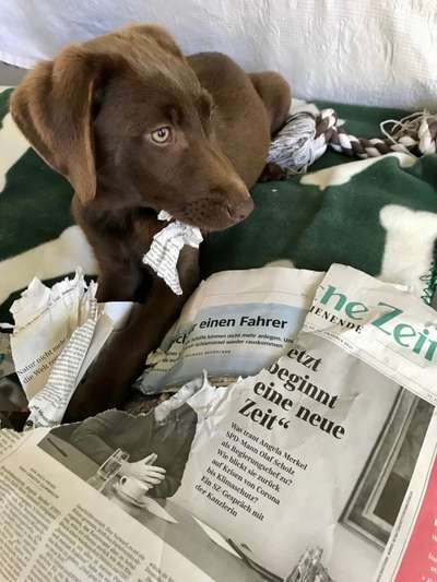 Lieblingsbild-Beitrag-Bild