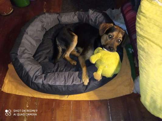 Fotochallenge Nr. 29 - Accessoires-Beitrag-Bild