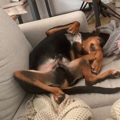 Fotochallenge Nr.65-Beitrag-Bild