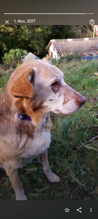 Fotochallenge Nr. 56 - geliebte Senioren-Beitrag-Bild