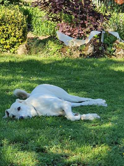 Fotochallenge No. 26                                     Wald und Wiese-Beitrag-Bild