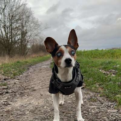 Roxy 's Profilbild