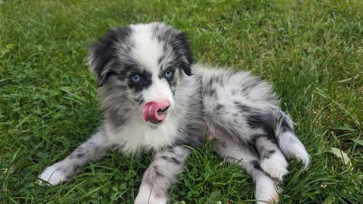 Lieblingsbild-Beitrag-Bild