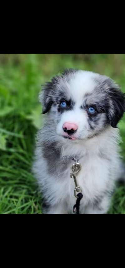 Lieblingsbild-Beitrag-Bild