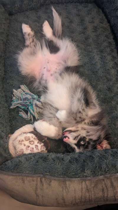 Foto Challenge - Zeigt her eure Bäuche-Beitrag-Bild